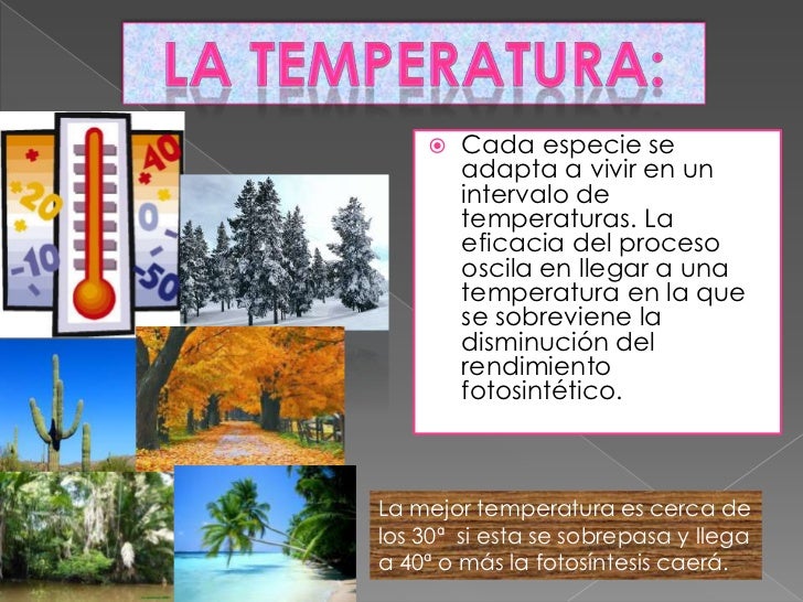 preguntas para hacerle a una chica manel fuentes mens health